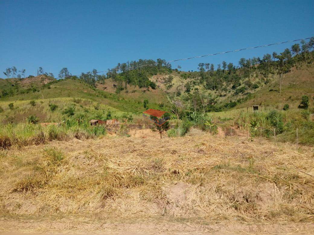 Chácara à venda com 1 quarto, 2000m² - Foto 11